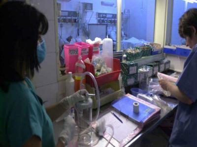 Cierres y falta de recursos humanos jaquean a las clínicas